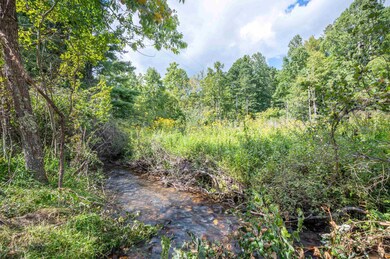 1286 Cox Store Rd SW, Floyd, VA 24091 - photo 7