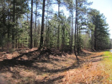 tract B Hwy 341 unit B, Forsyth, GA 31029 - photo 3