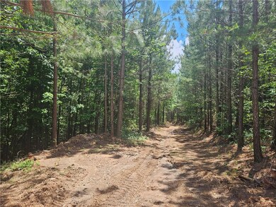 View of local wilderness