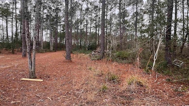 1284 Cheyenne Rd unit Lot 1, Conway, SC 29526 - photo 3