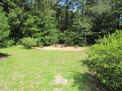 4180 Honeysuckle Cir, Middleburg, FL 32068 - photo 5