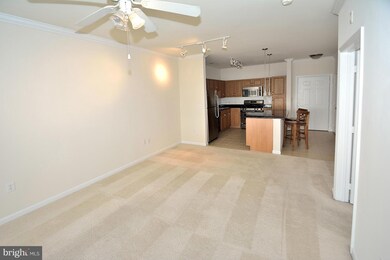 Bryson At Woodland Park unit 205, Herndon, VA 20171 - photo 6