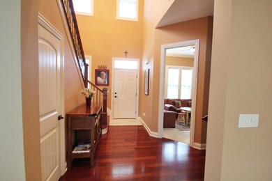 Elegant 2 Story Foyer
