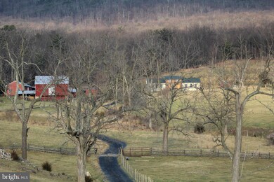 15115 Back Rd, Strasburg, VA 22657 - photo 3