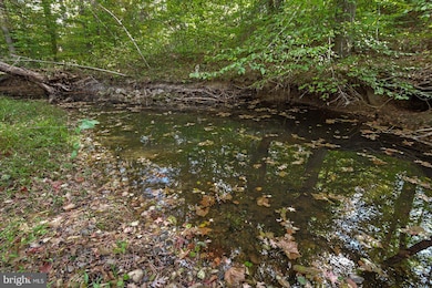 0 Holly Corner Rd unit VAST2043660, Fredericksburg, VA 22406 - photo 4