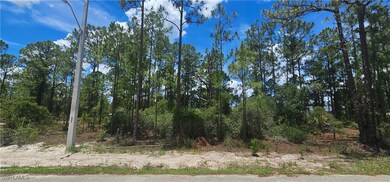 Rear of property, looking west, with utility pole
