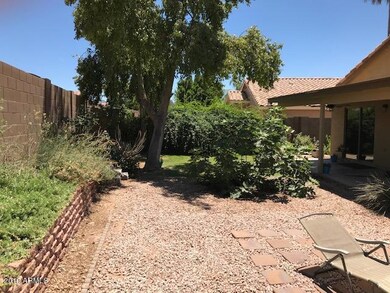 Yard-4