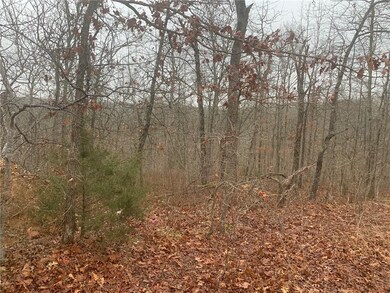 0 Dolly Cir unit 1177502, Bella Vista, AR 72715 - photo 5