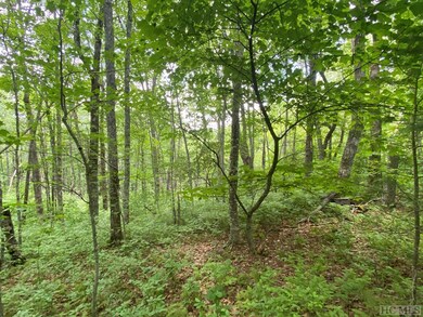 Lot 4 Parkview Ln, Cullowhee, NC 28723 - photo 6