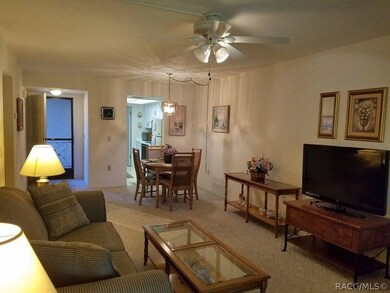 219 E Hartford St unit 6-3A, Hernando, FL 34442 - photo 5