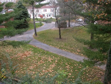 view from deck