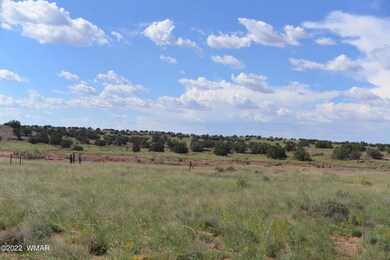 New Owl & property photos 044