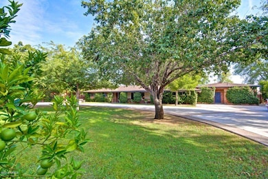 Circular driveway