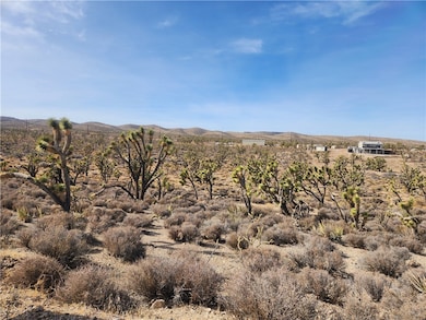 0000 N Tamarisk & Rainbow, Meadview, AZ 86444 - photo 4