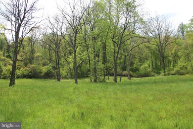 0 Chestnut Run Ln unit VARP107578, Sperryville, VA 22740 - photo 2