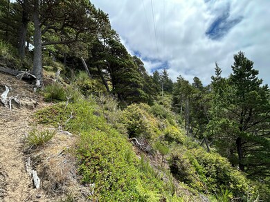 TL#3900 S Castle Ln, Oceanside, OR 97141 - photo 5