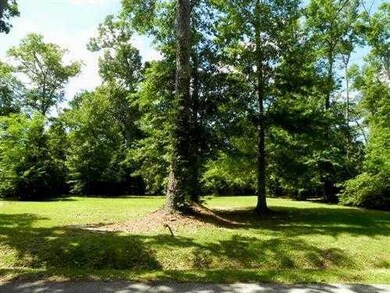 Land/Lot.