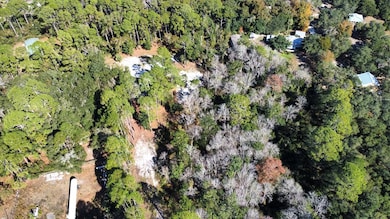 182 Smith Rd, Apalachicola, FL 32320 - photo 7