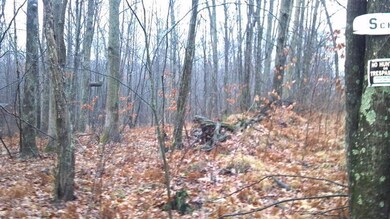 1441 Halmond Dr, Bitely, MI 49309 - photo 4