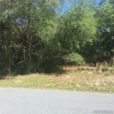 1437 E Wedgewood Ln, Hernando, FL 34442 - photo 3