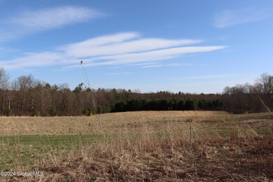 1 Chuck Hollow Dr, Milton, NY 12020 - photo 2