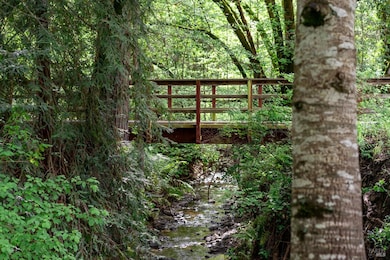 Footbridge over Matanzas Creek