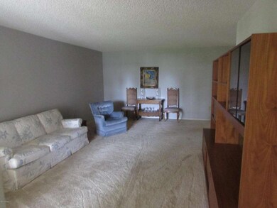 10523 W Palmeras Dr, Sun City, AZ 85373 - photo 6