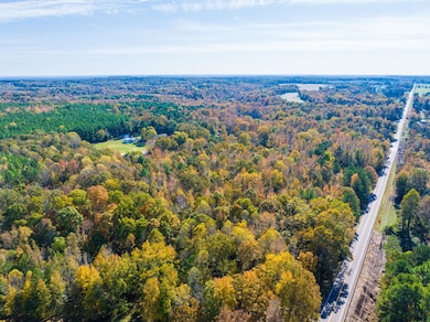 HWY 641 Puryear Crossland Rd, Puryear, TN 38251 - photo 2