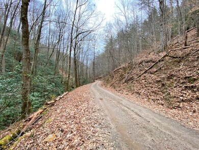 Entrance to Property USFS Rd 7072