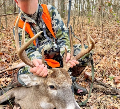 3590 Tuller Rd, Stonefort, IL 62987 - photo 5