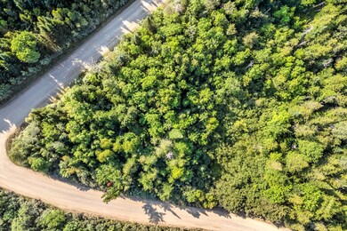 11-web-or-mls-corner-of-monument-rd-gale