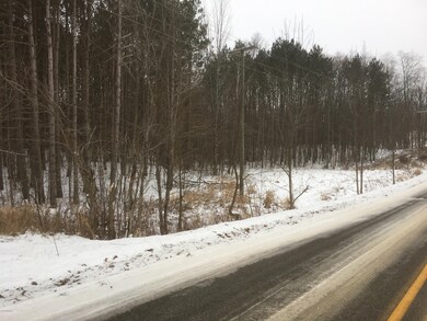 IMG_1280 (1)