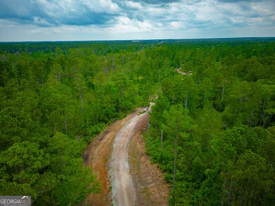 1 Coastal Estates Dr, Brunswick, GA 31525 - photo 2