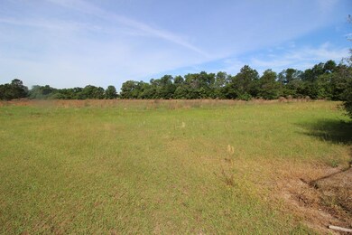 4408 Wilson Rd, Hephzibah, GA 30815 - photo 5