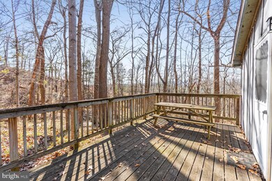 388 Cedar Rd, Strasburg, VA 22657 - photo 3