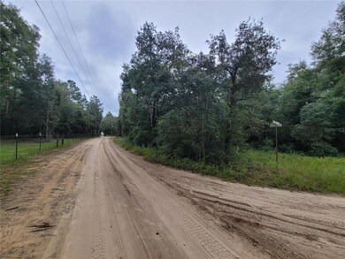 0 NE 120th St unit MFRO6323701, Bronson, FL 32621 - photo 4