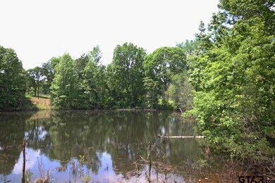 16931 County Road 2203, Arp, TX 75750 - photo 3