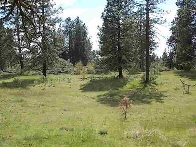 0 N Old Trails Rd unit 201317106, Spokane, WA 99224 - photo 4