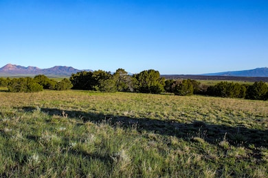 La Veta Pines - Ostrow Lot (5 of 21)