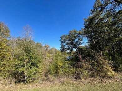 View of local wilderness