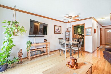 17-web-or-mls-DSC07436