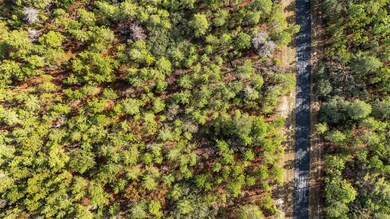 0 SW 177th St unit MFROM714928, Ocala, FL 34473 - photo 2