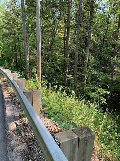 0 Halls Brook Rd unit 29, East Hebron, NH 03241 - photo 2