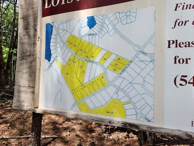 LOT 5 Dillards Hill Rd, Union Hall, VA 24176 - photo 2