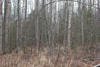 IMG_0789