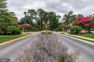 8 Maass Ln, Rehoboth Beach, DE 19971 - photo 6