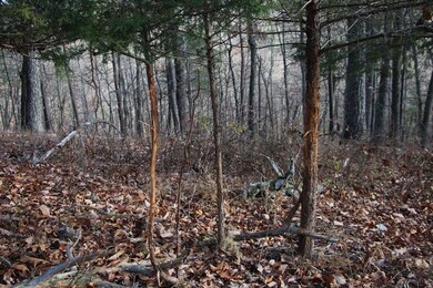 0 Supinlick Ridge Rd unit LotWP001, Mount Jackson, VA 22842 - photo 4