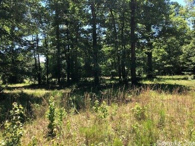 0 Highway 167 S unit 20002810, Sheridan, AR 72150 - photo 3