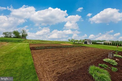 689 Beaver Dam Rd, Honey Brook, PA 19344 - photo 6