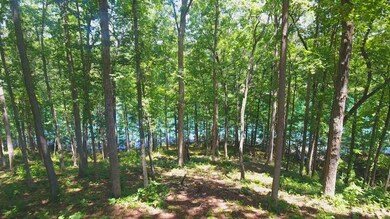 Lot 29 Little Keowee Bay, West Union, SC 29696 - photo 5